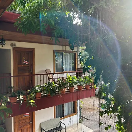 Hotel Javy