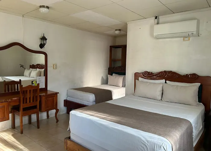 Javy Hotel 3*
