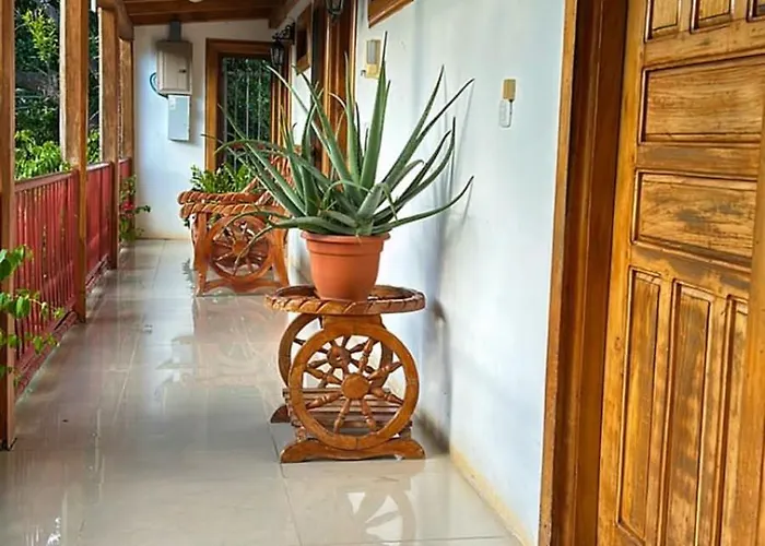 Javy Hotel Liberia