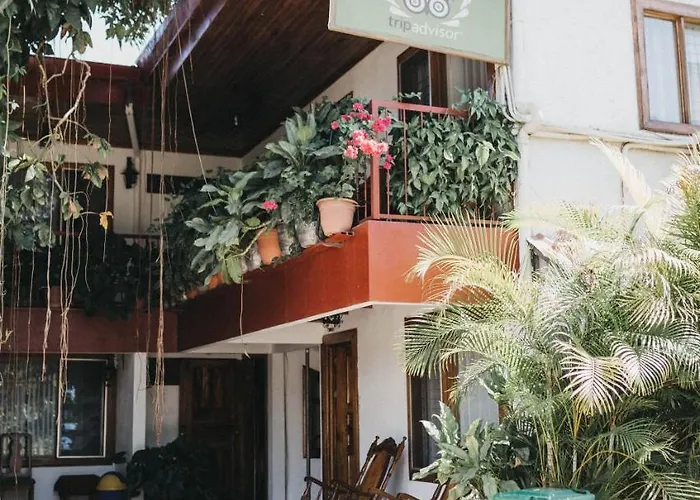 Hotel Javy
